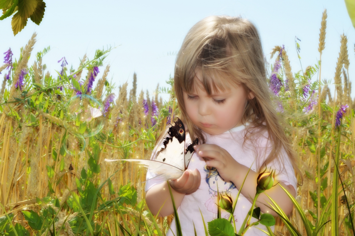 Butterfly little girl summer cute