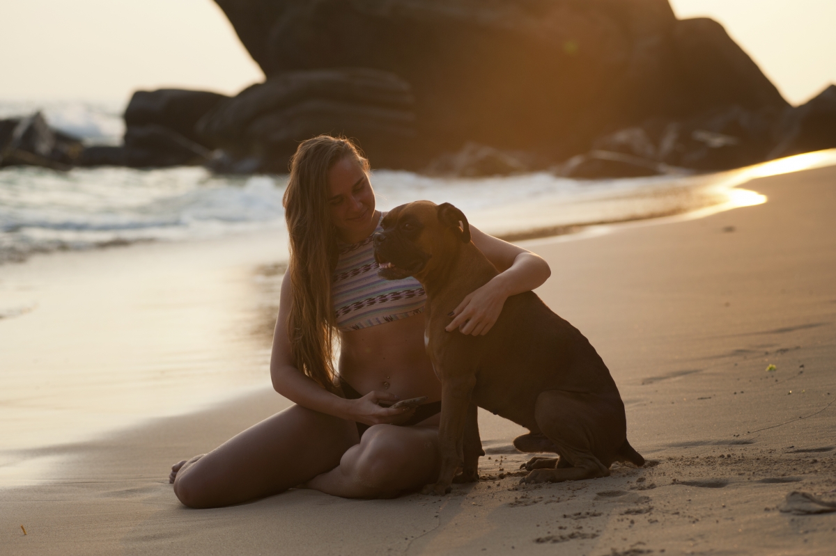 Beach beauty and dog 4K landscape pictures