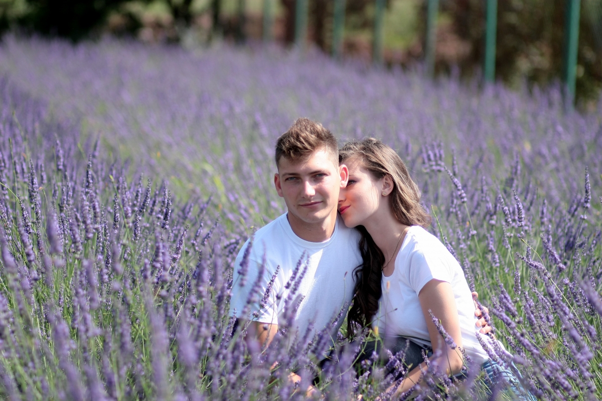 Couple lavender love romance