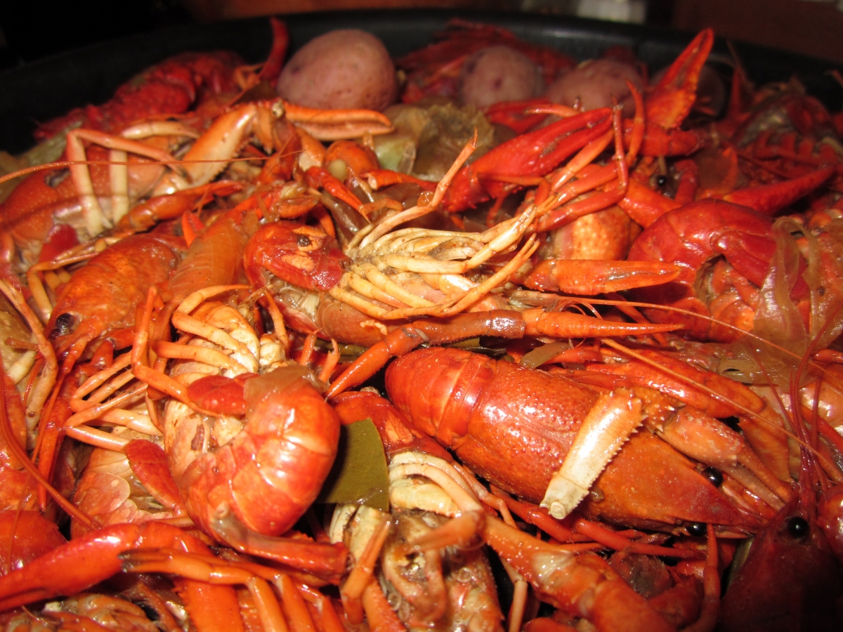 Crayfish Poached New Orleans Sea