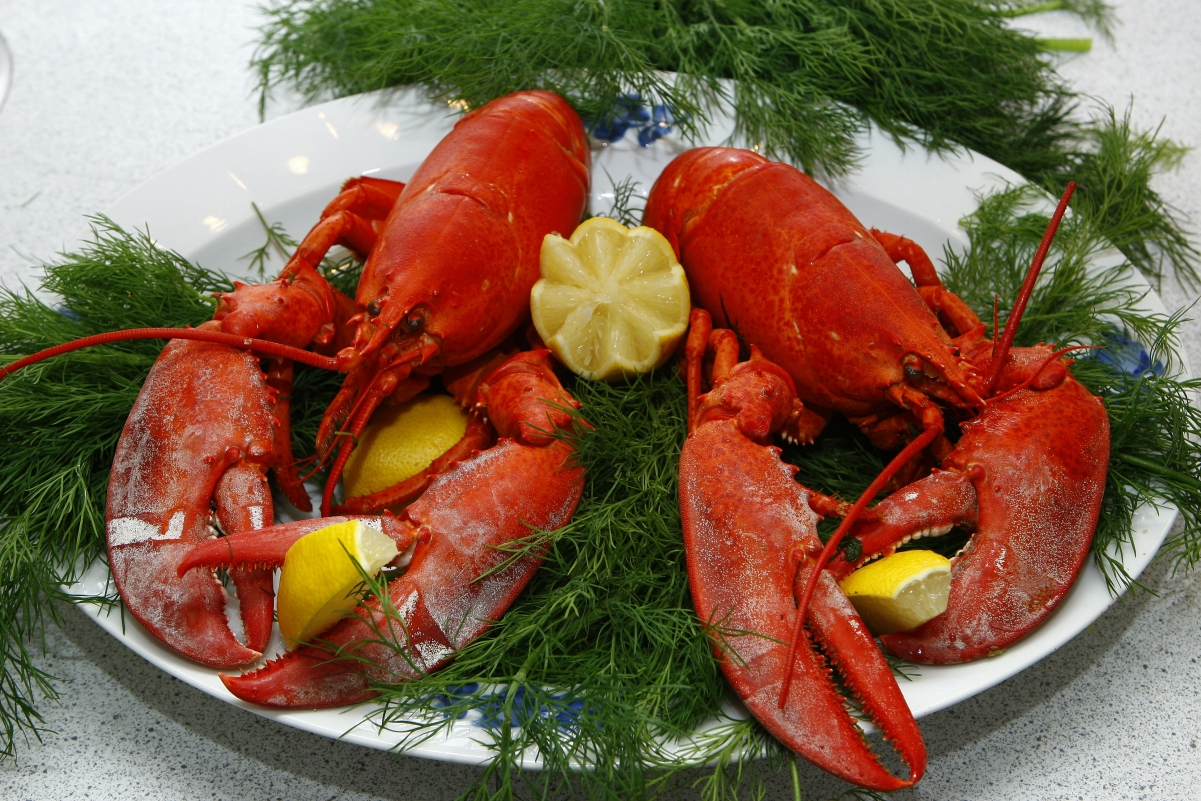 Lobster seafood delicacy 4K illustration