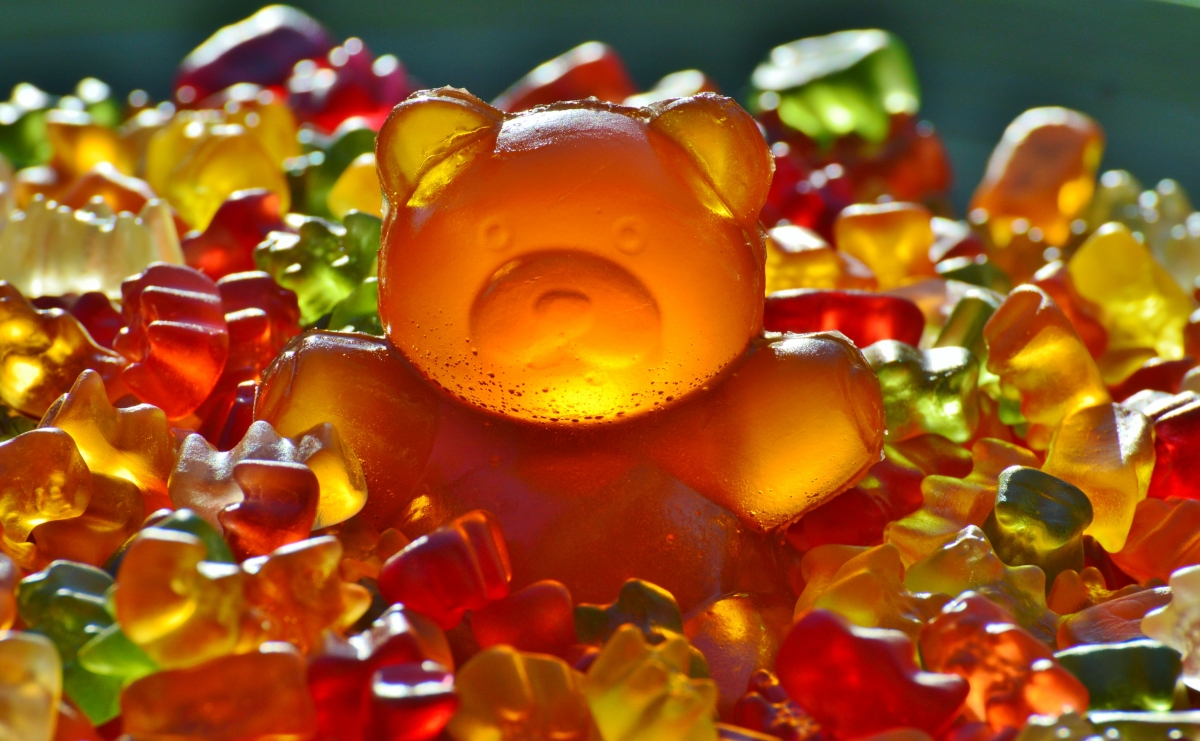 Giant gummy bear fruit jelly 4