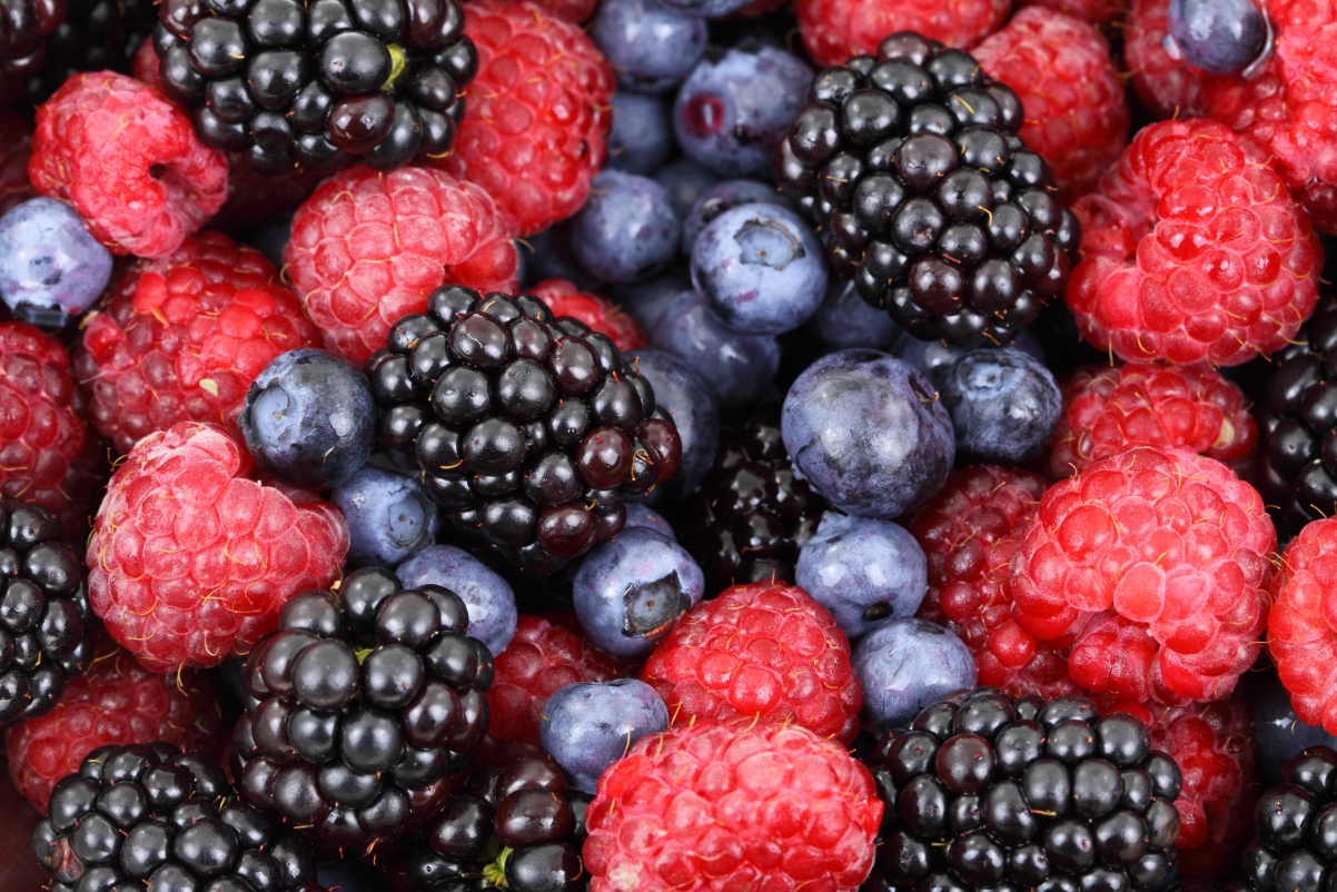 Blackberry Blueberry Forest Fresh Water