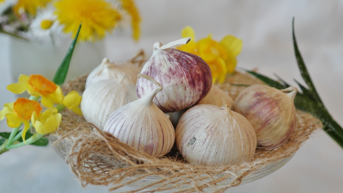 Garlic chinese garlic kitchen chef