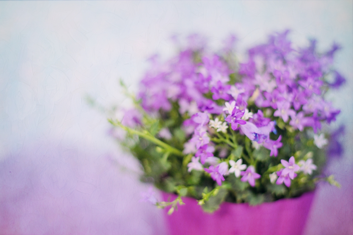 Purple flower bouquet 5K picture