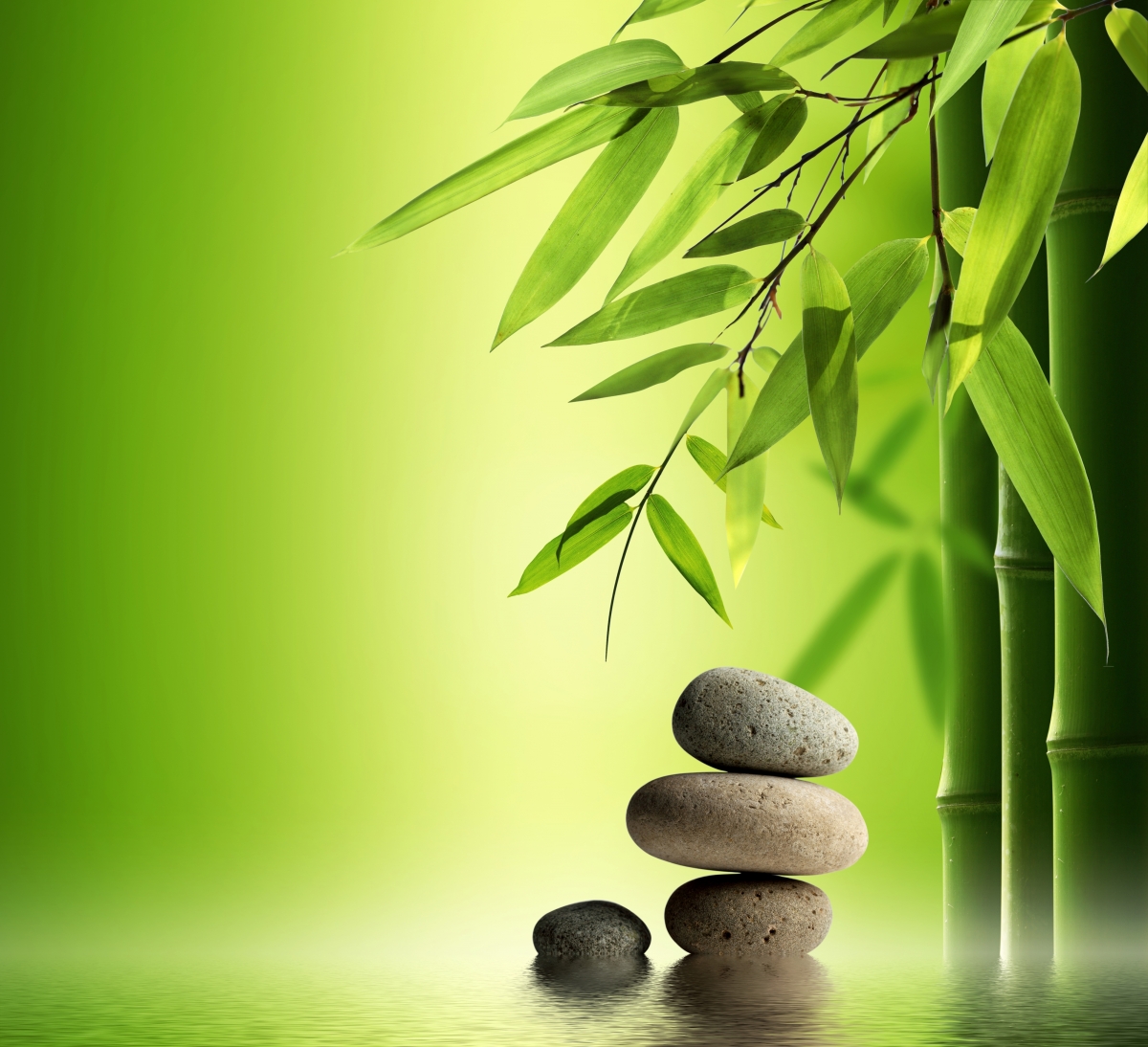 Bamboo, stones, water, green background illustration