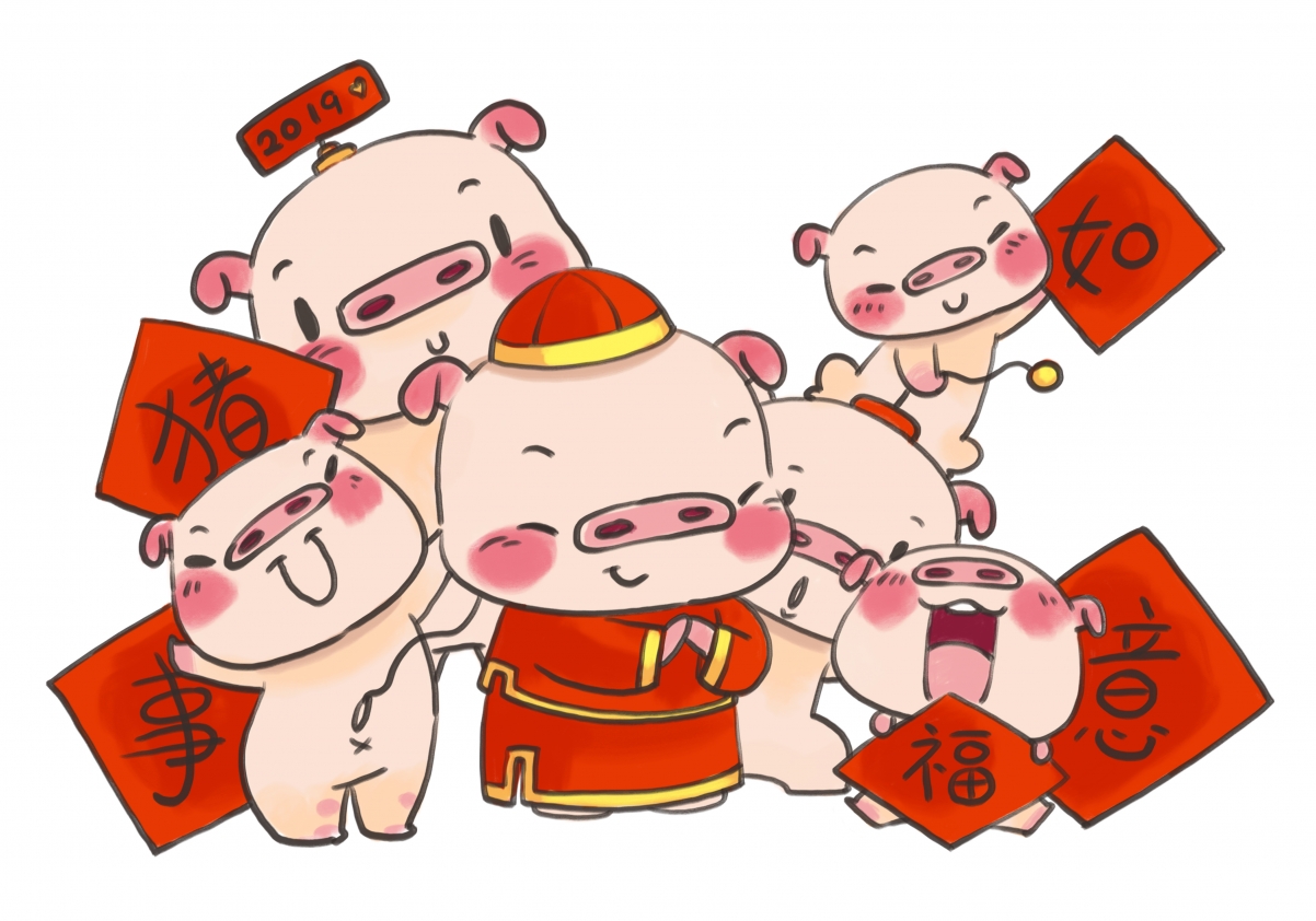 Pig year 2019 year of the pig illustration