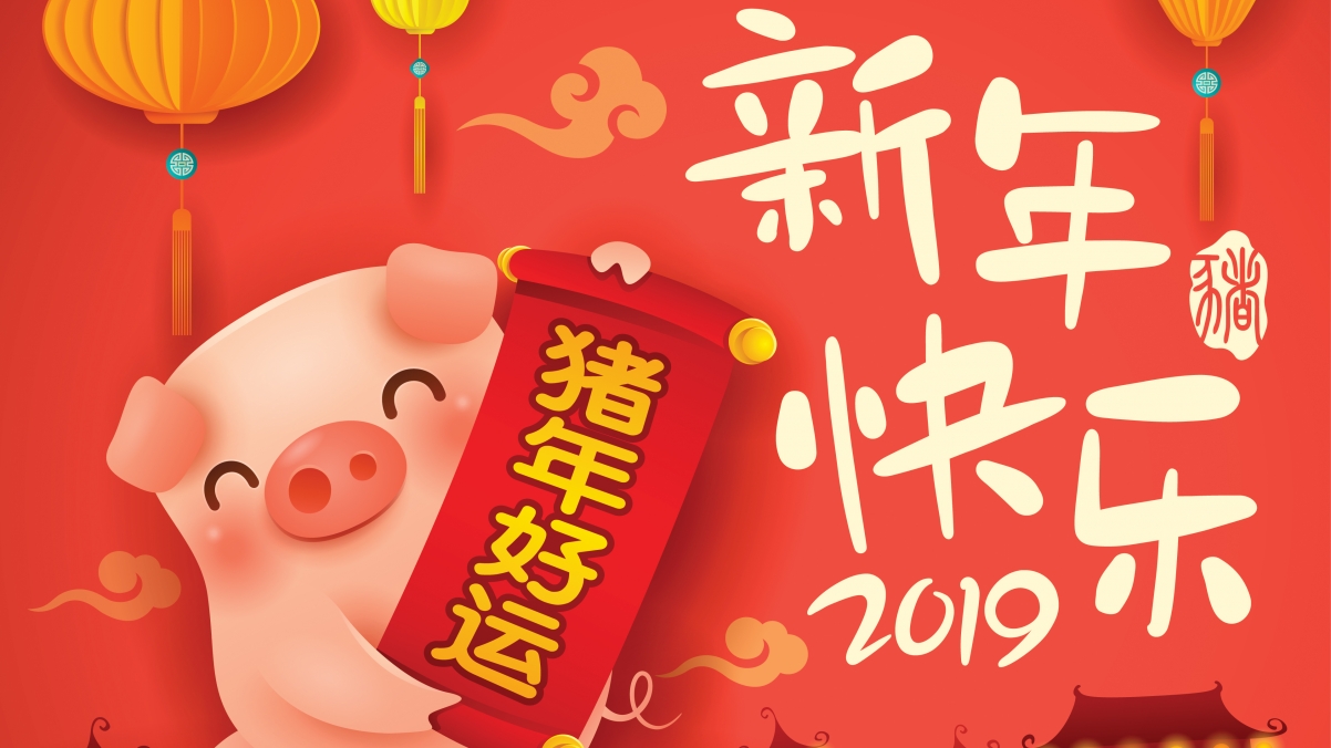 Good luck in the year of the pig happy new year 2019