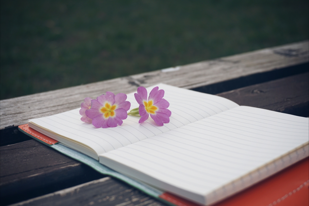 Bench flower notebook notepad