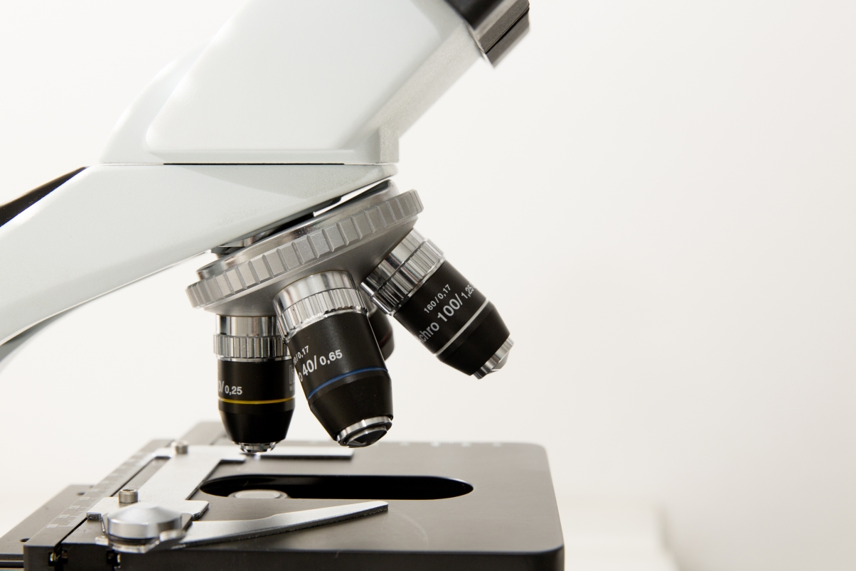 Microscope picture