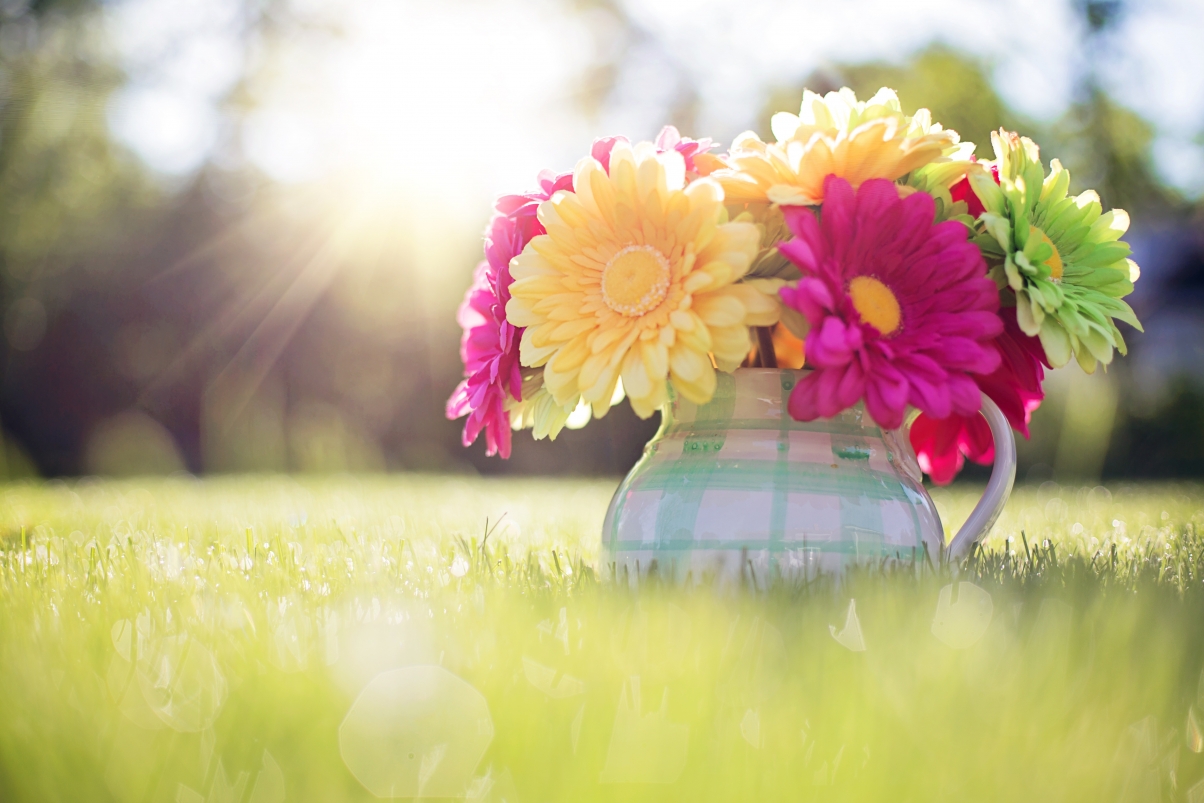 Summer sunshine bouquet daisy green