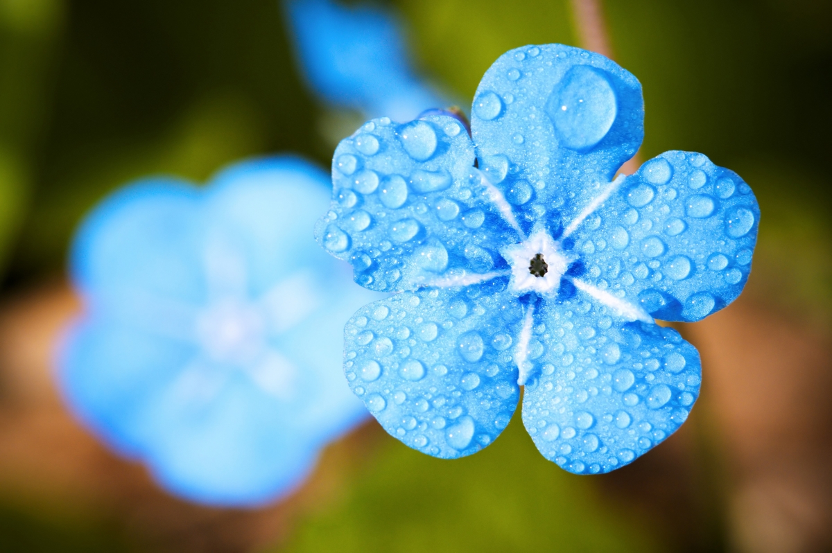 Forget about drip-rain-dew