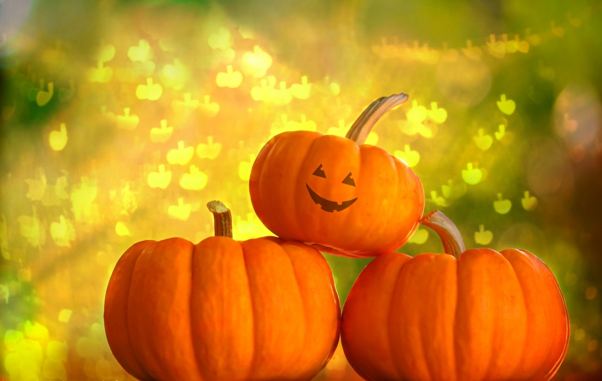 Halloween cute pumpkin pictures