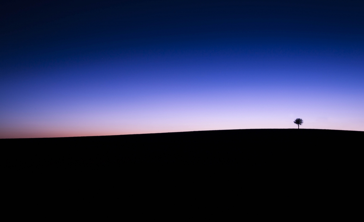 Sky, line, tree, twilight, simple design