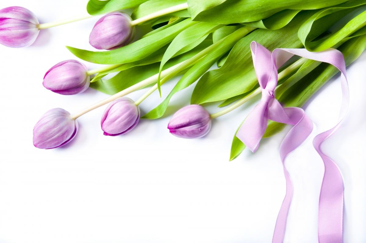 Ribbon bouquet spring flower petals