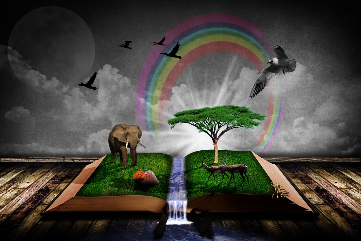 Book fantasy birds like africa