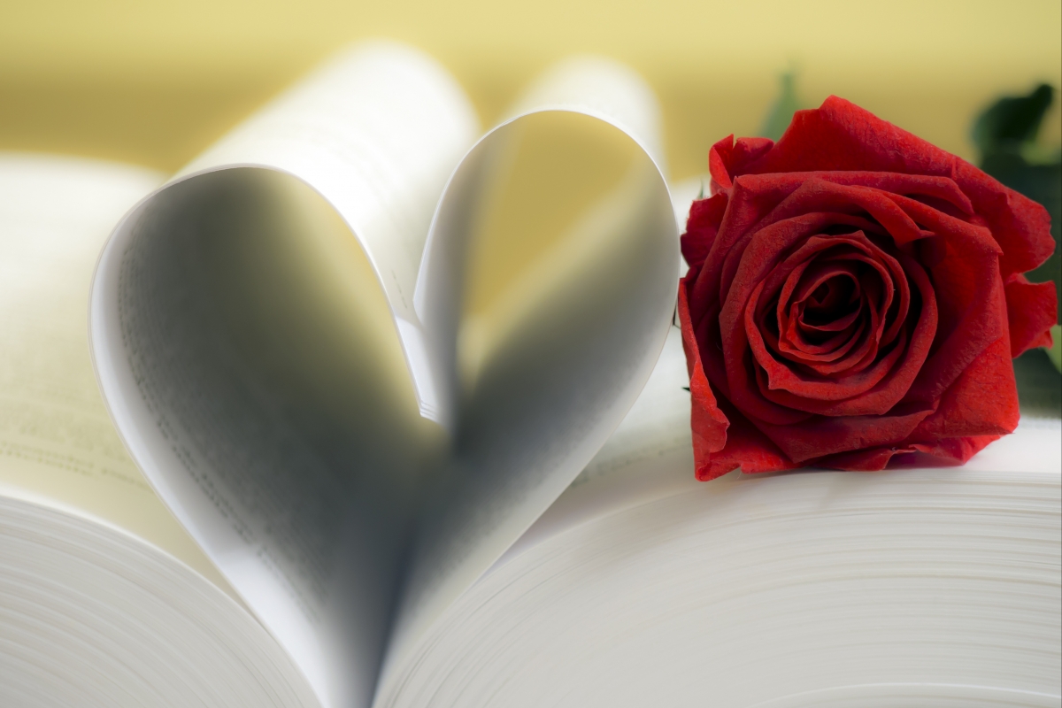 Book Rose 5K Picture