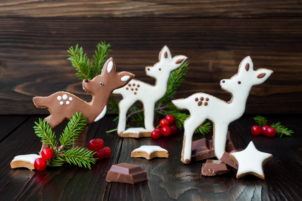 Christmas, deer, christmas tree, chocolate