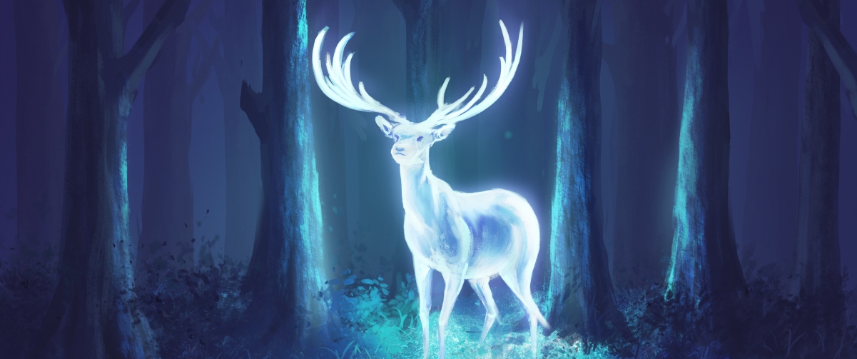 Deer in the forest