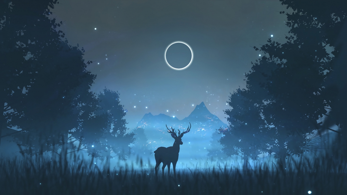 Forest night deer moon beautiful