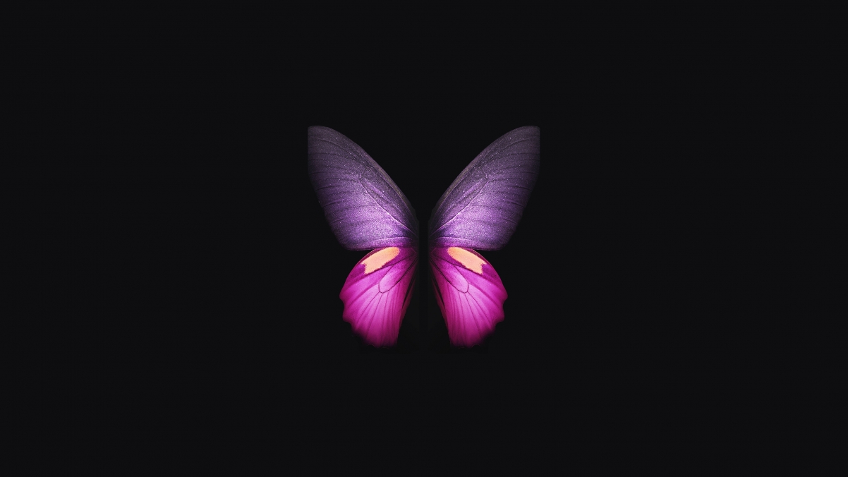 Samsung Galaxy Fold Butter