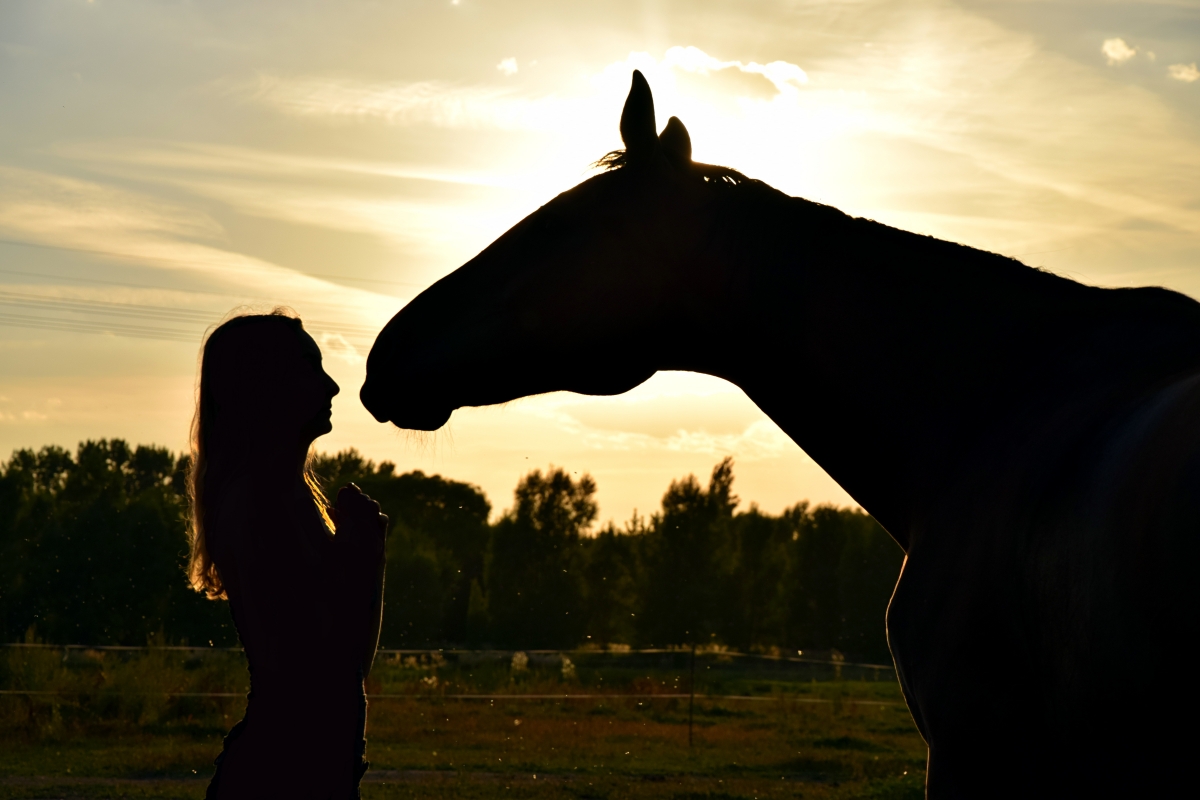 Sunset girl horse dream friend