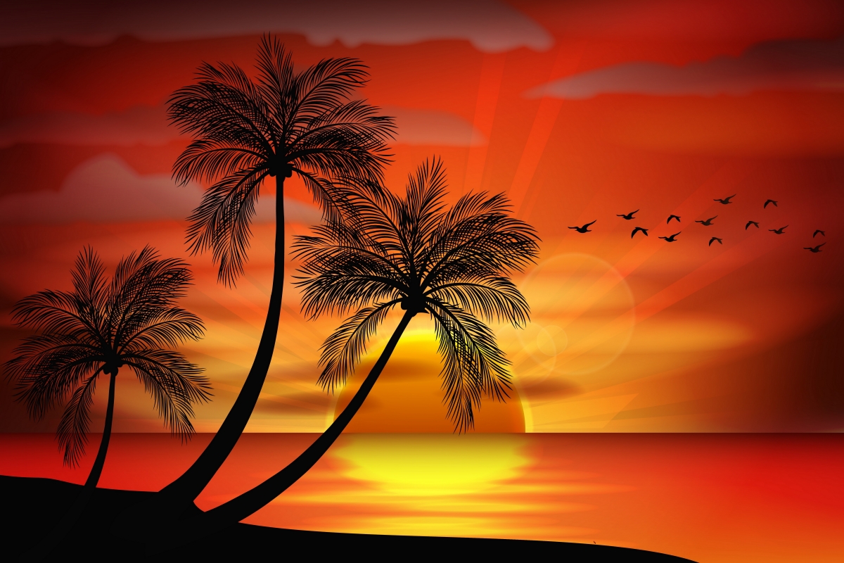 Sunset sea paradise coconut tree vector