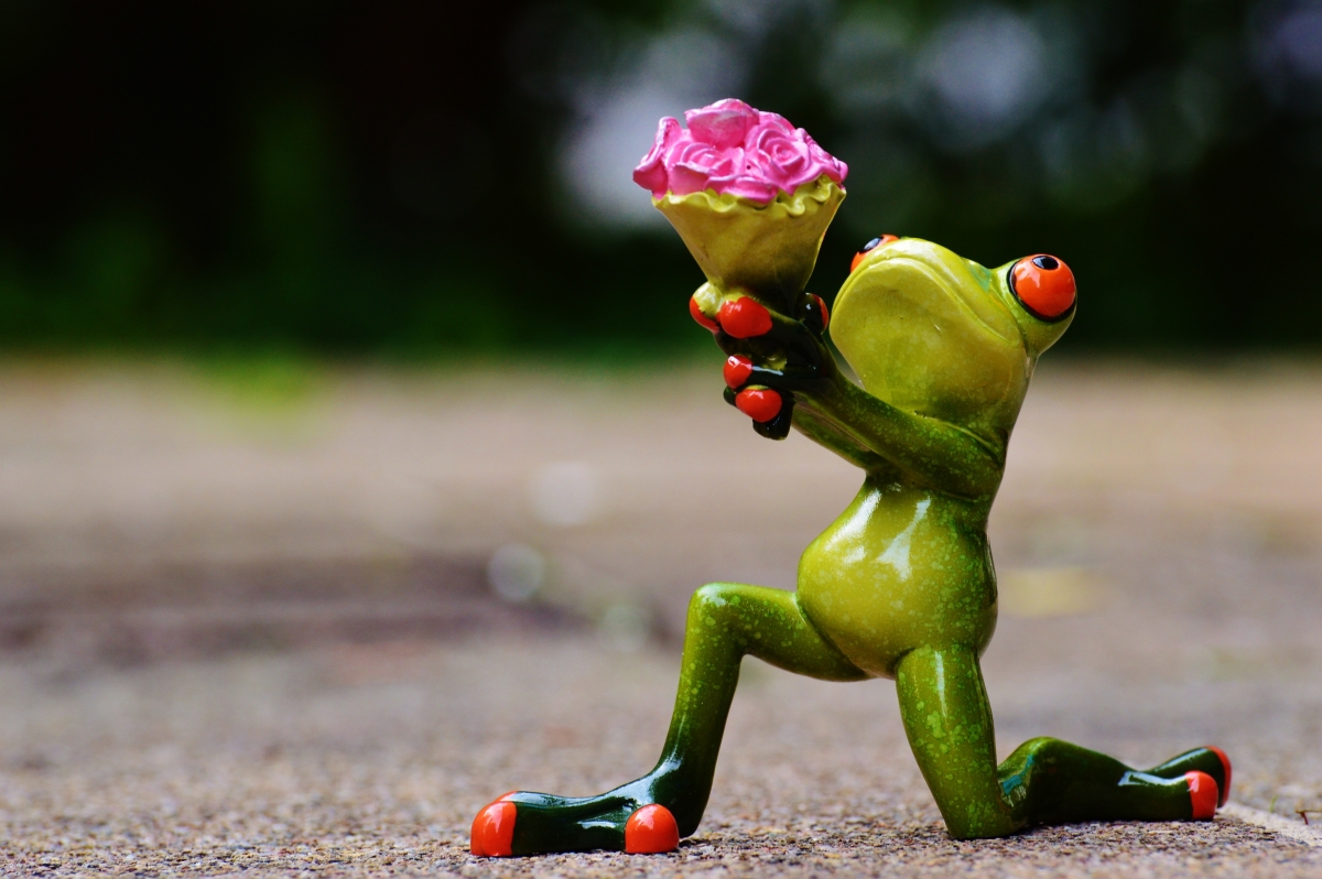 Green frog model idea for marriage proposal