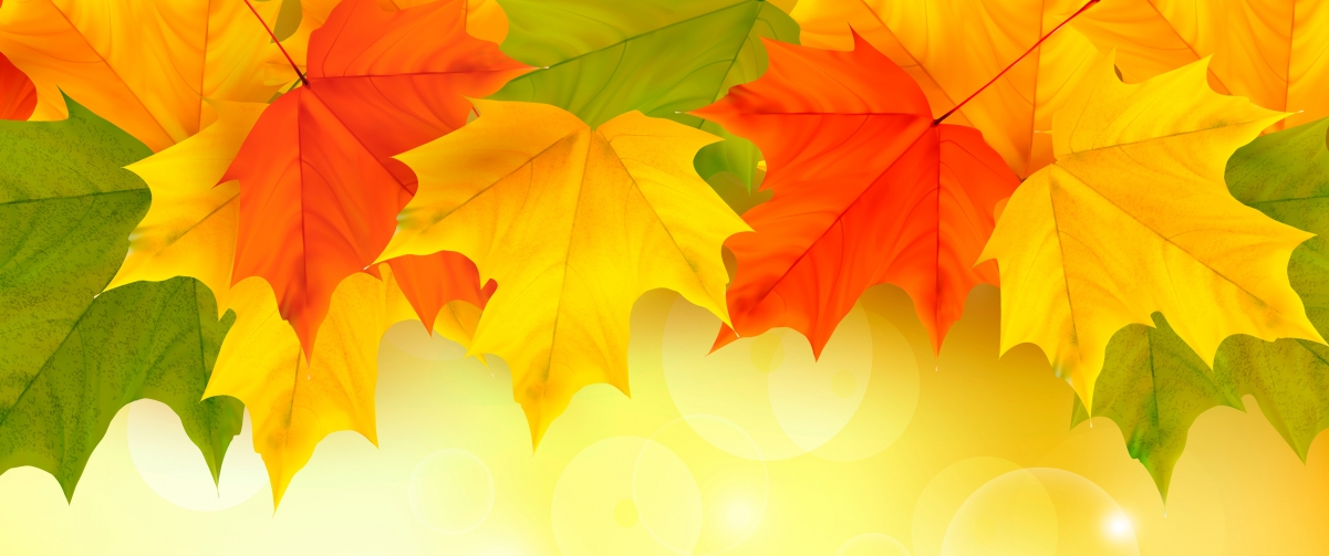 Autumn maple leaf background 3440x1440 wall