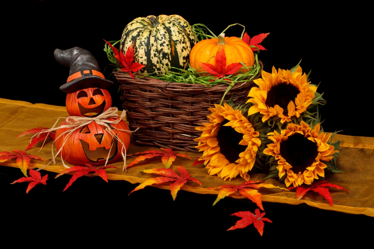 Autumn halloween pumpkin 4k picture