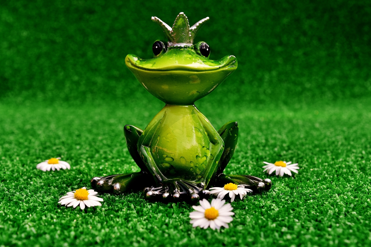 Frog frog prince grass decoration