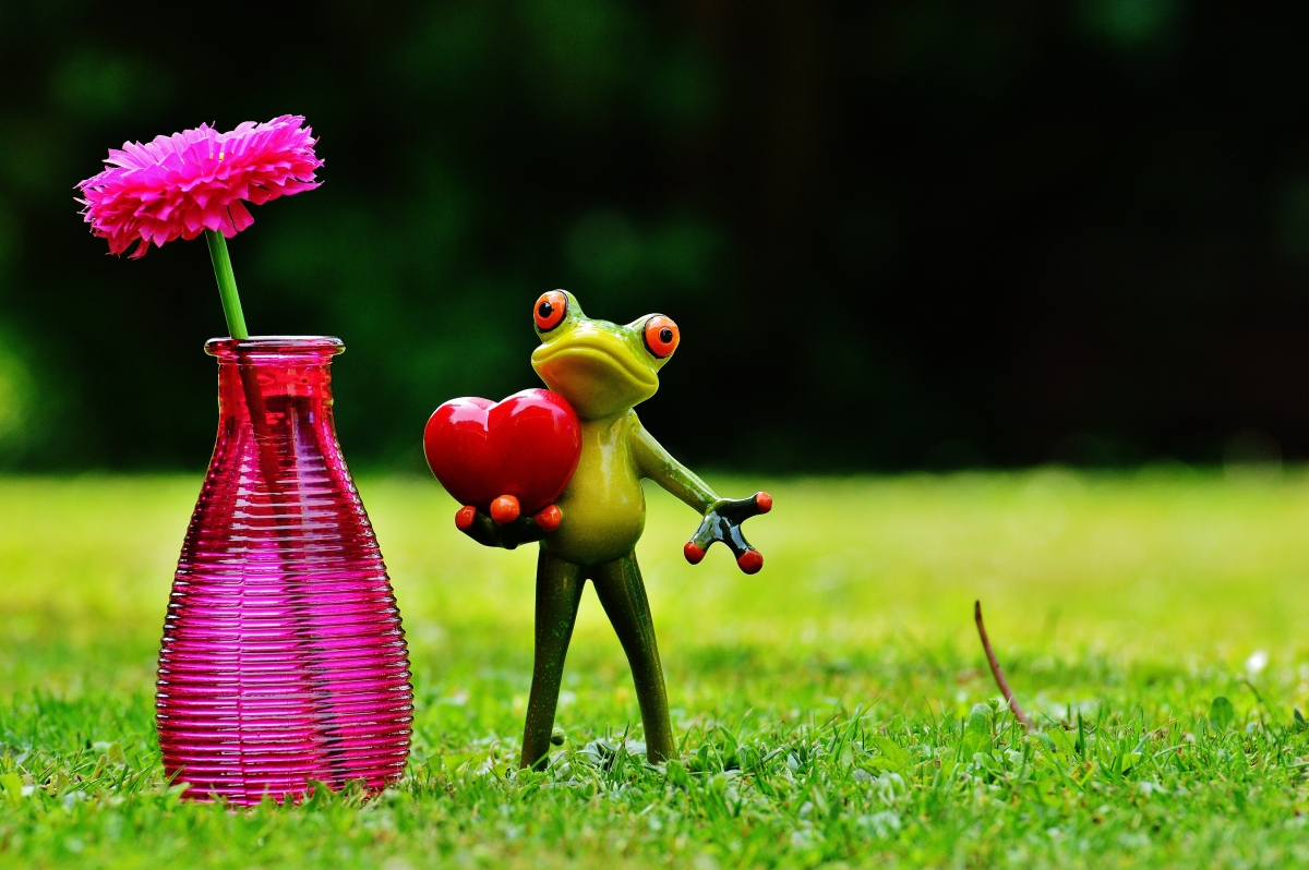 Frog love valentine vase