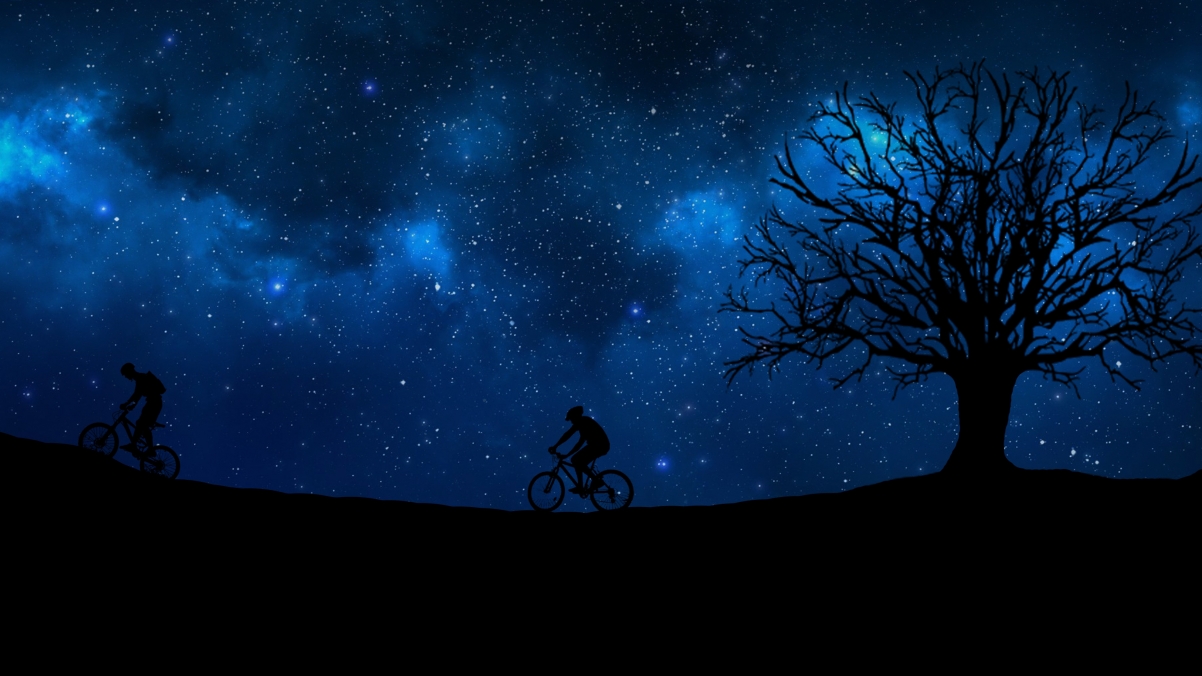 Cycling night tree starry sky 4K