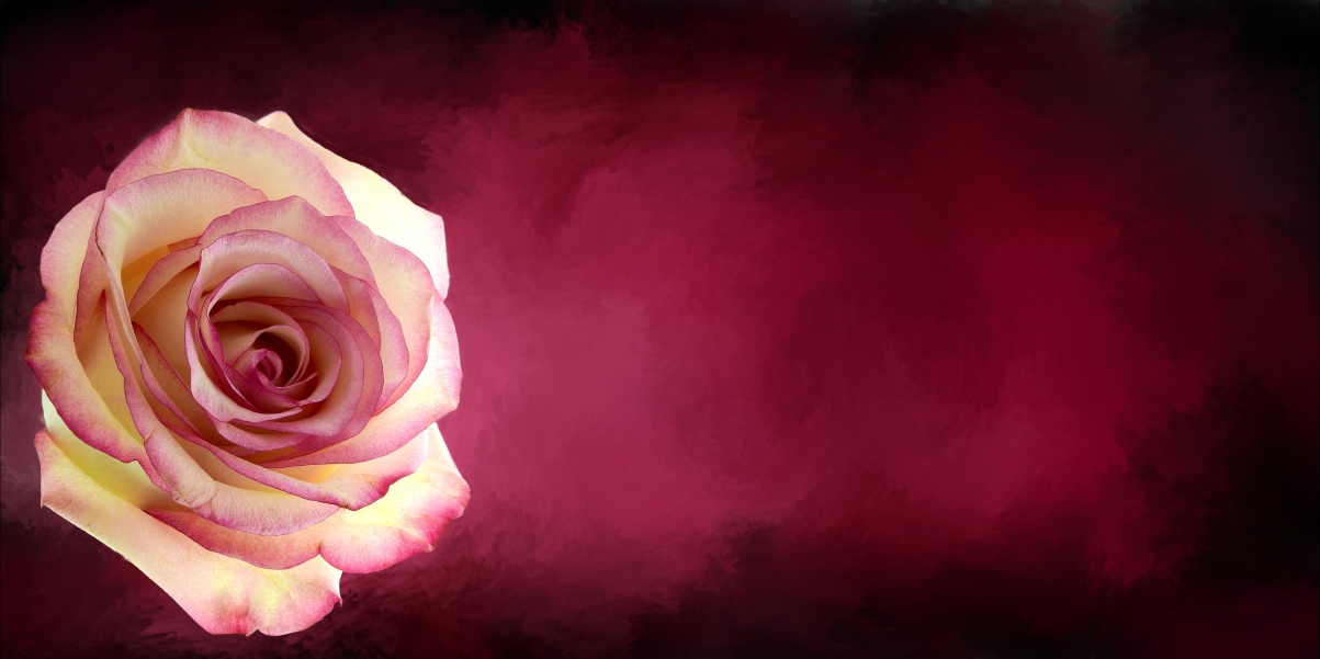 Rose flower postcard mother