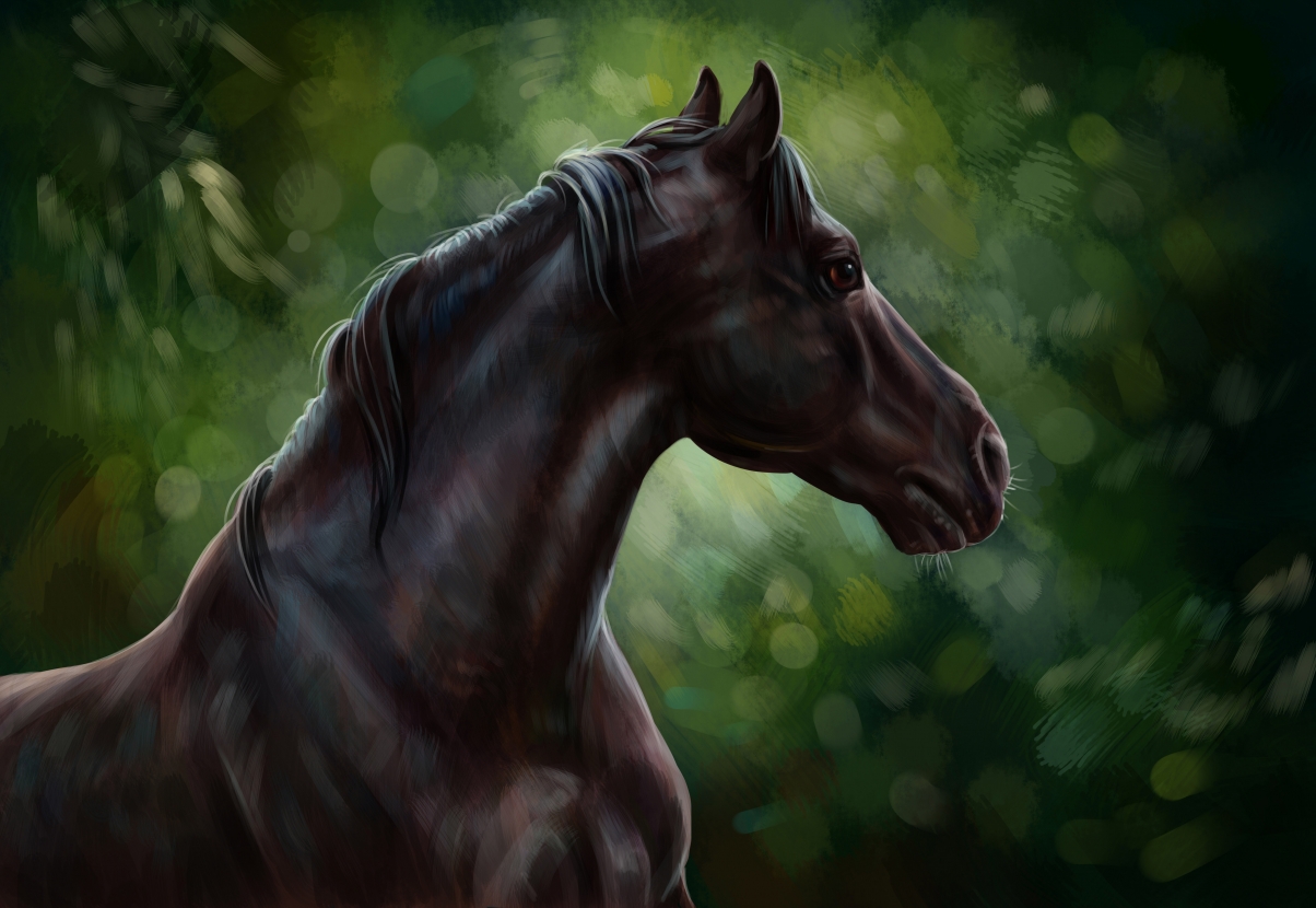 Horse oil painting watercolor pencil art