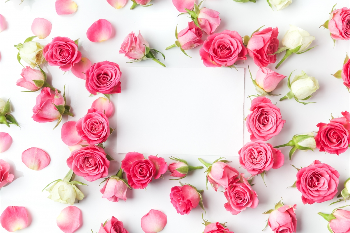 Romantic roses, valentines day, roses
