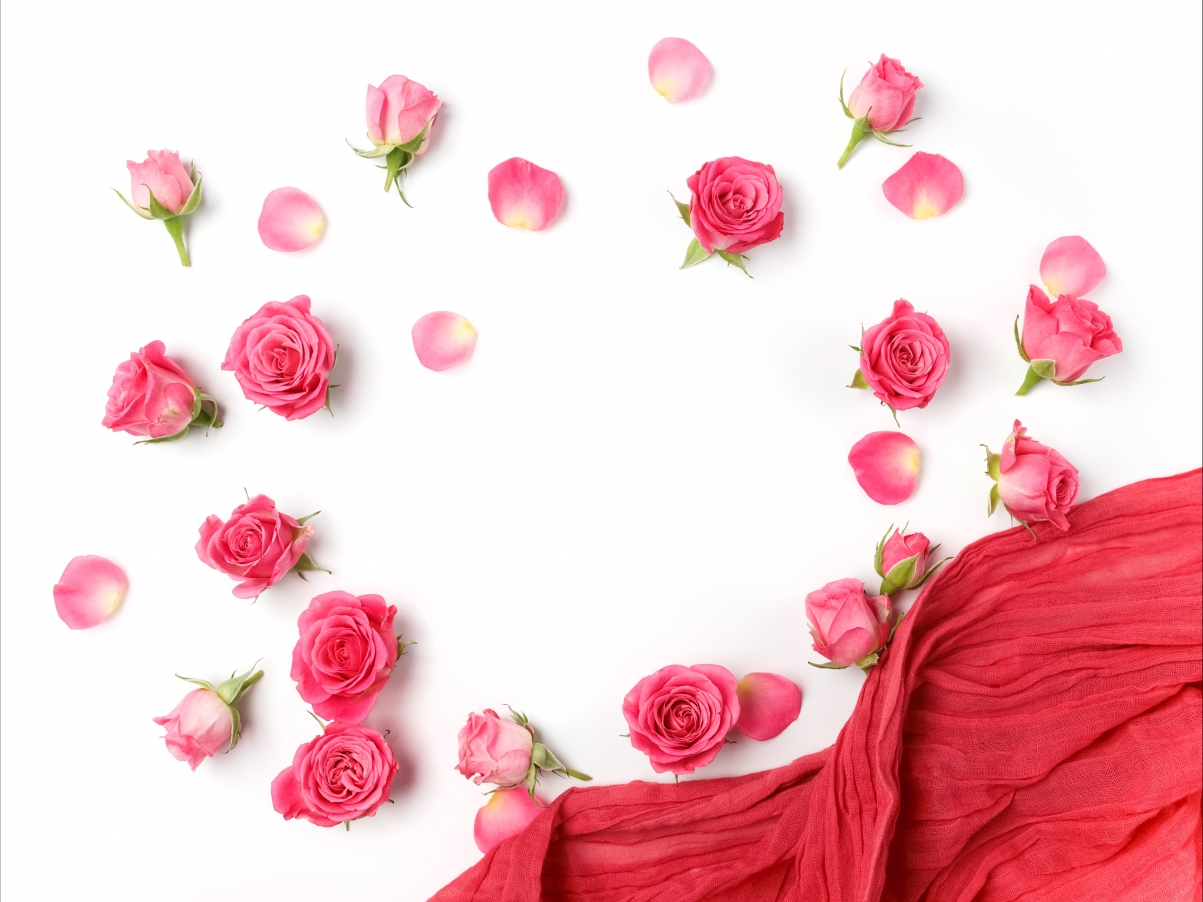 Romantic rose, rose bud petals 4