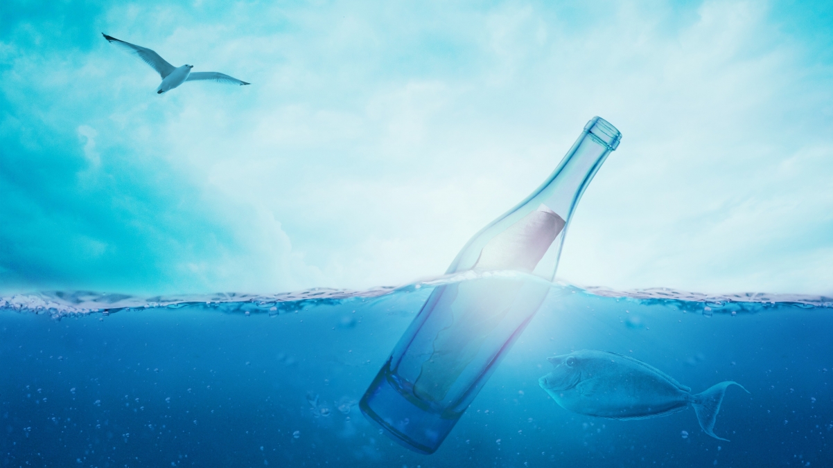 Blue sea, birds, bottles, fish,
