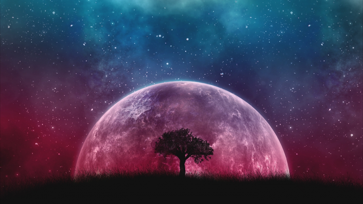 Space galaxy planet universe tree