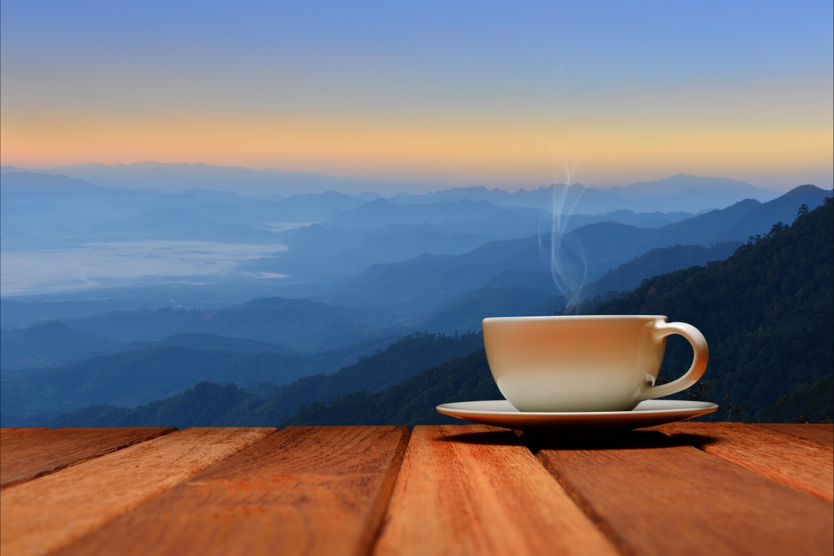 Coffee cup, dawn, cup, good morning,