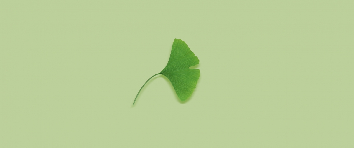 Eye Protection Ginkgo Leaf 3440x1440 Wallpaper