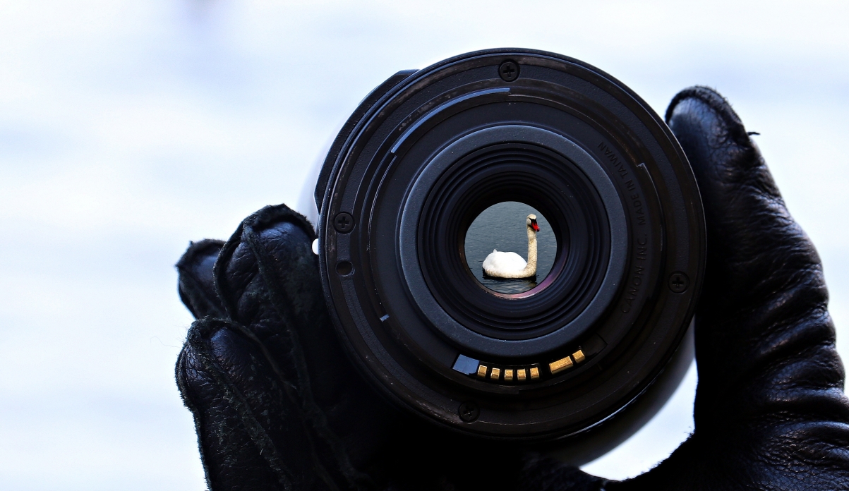 Lake water focus camera lens day