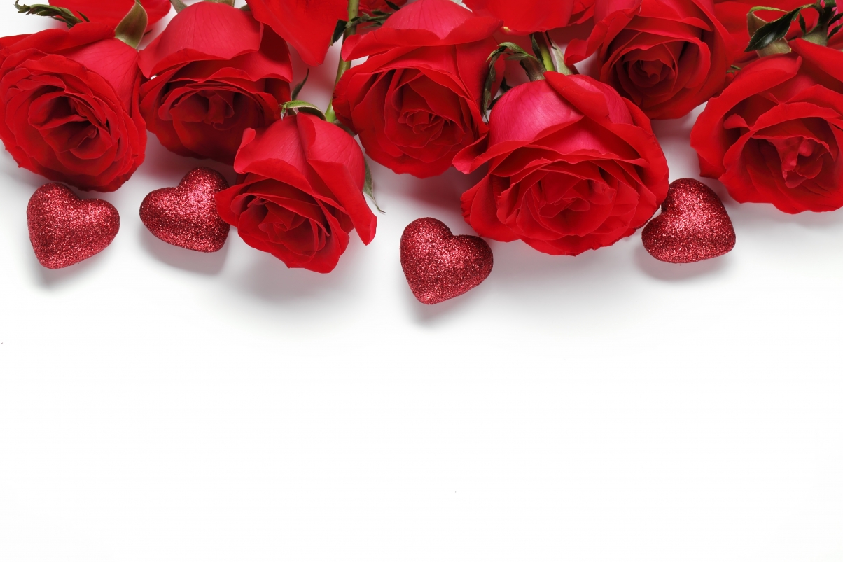 Red rose heart white background love