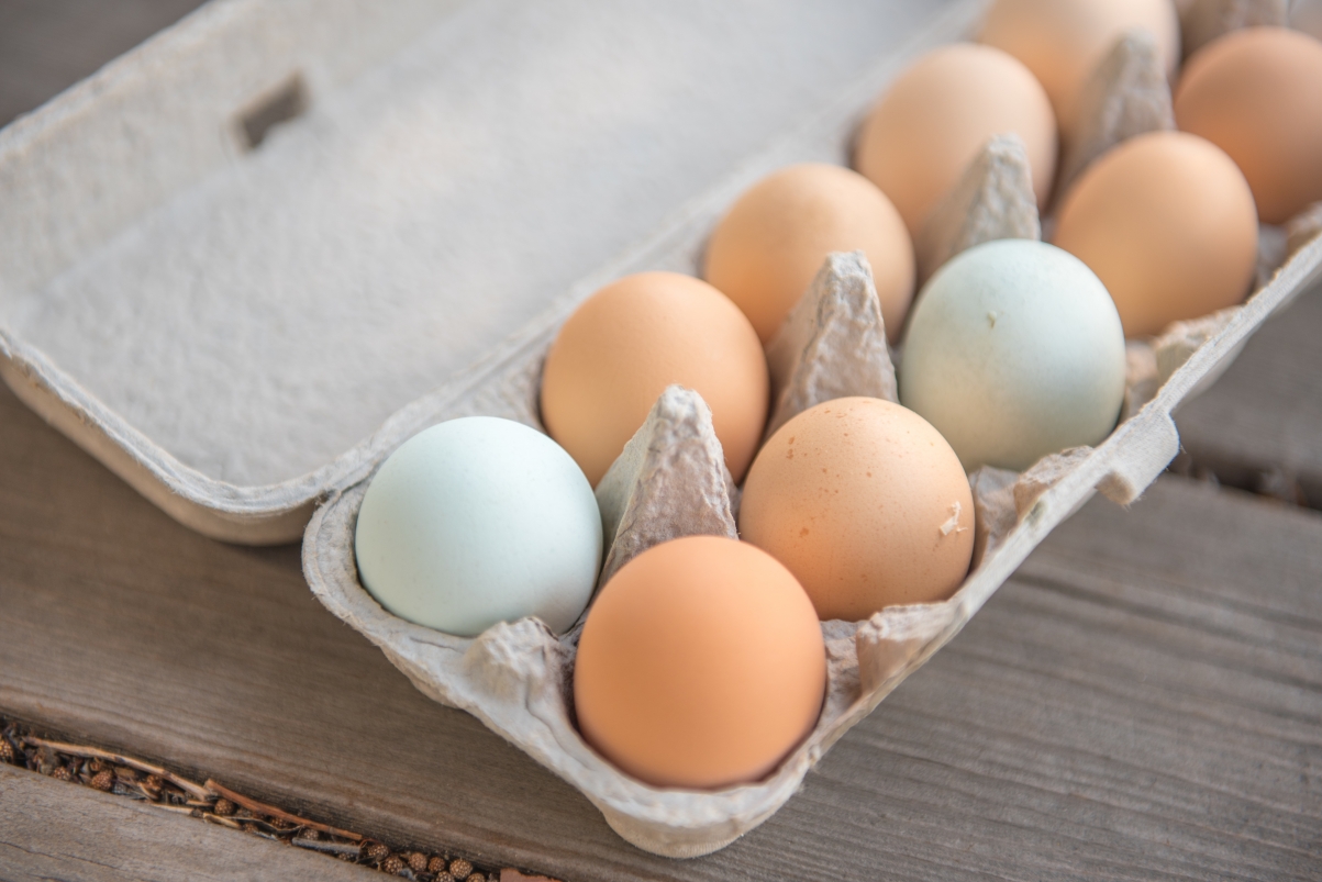 Boxed eggs pictures