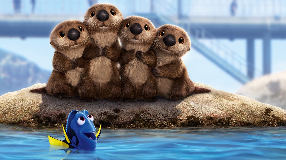 Finding Nemo 2 cute sea lion 5k high