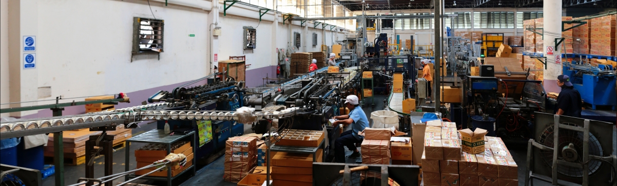Pictures of employees working in the factory