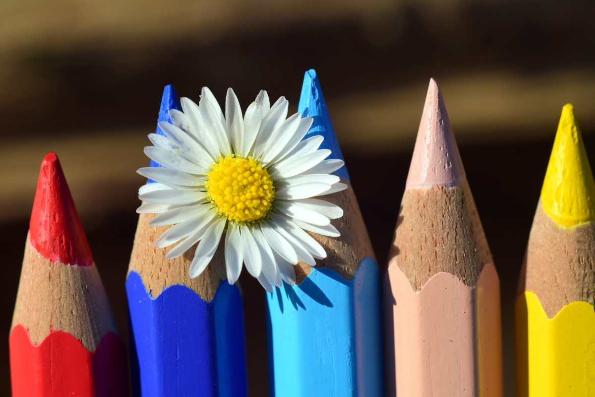 Pens wooden clothespins colored pencils