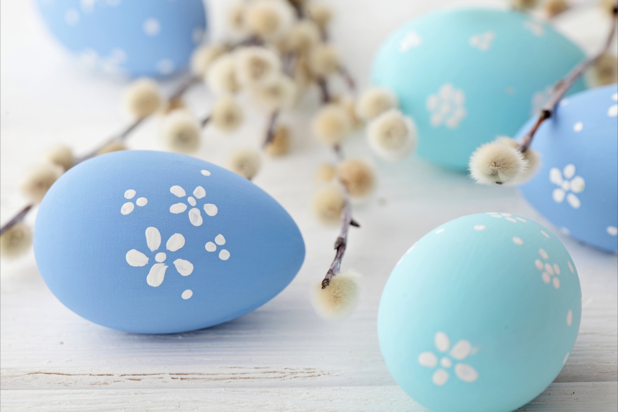 Easter blue egg 5K wallpaper