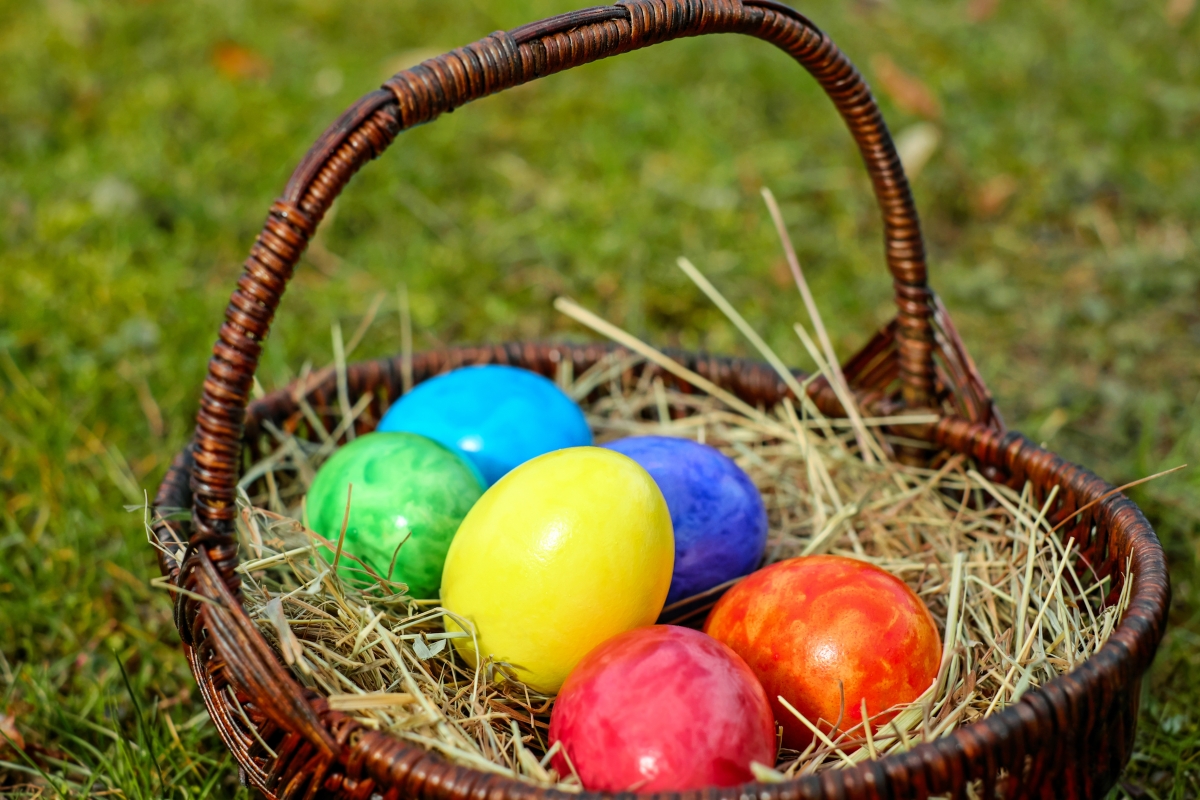 Easter egg shopping basket-egg complex
