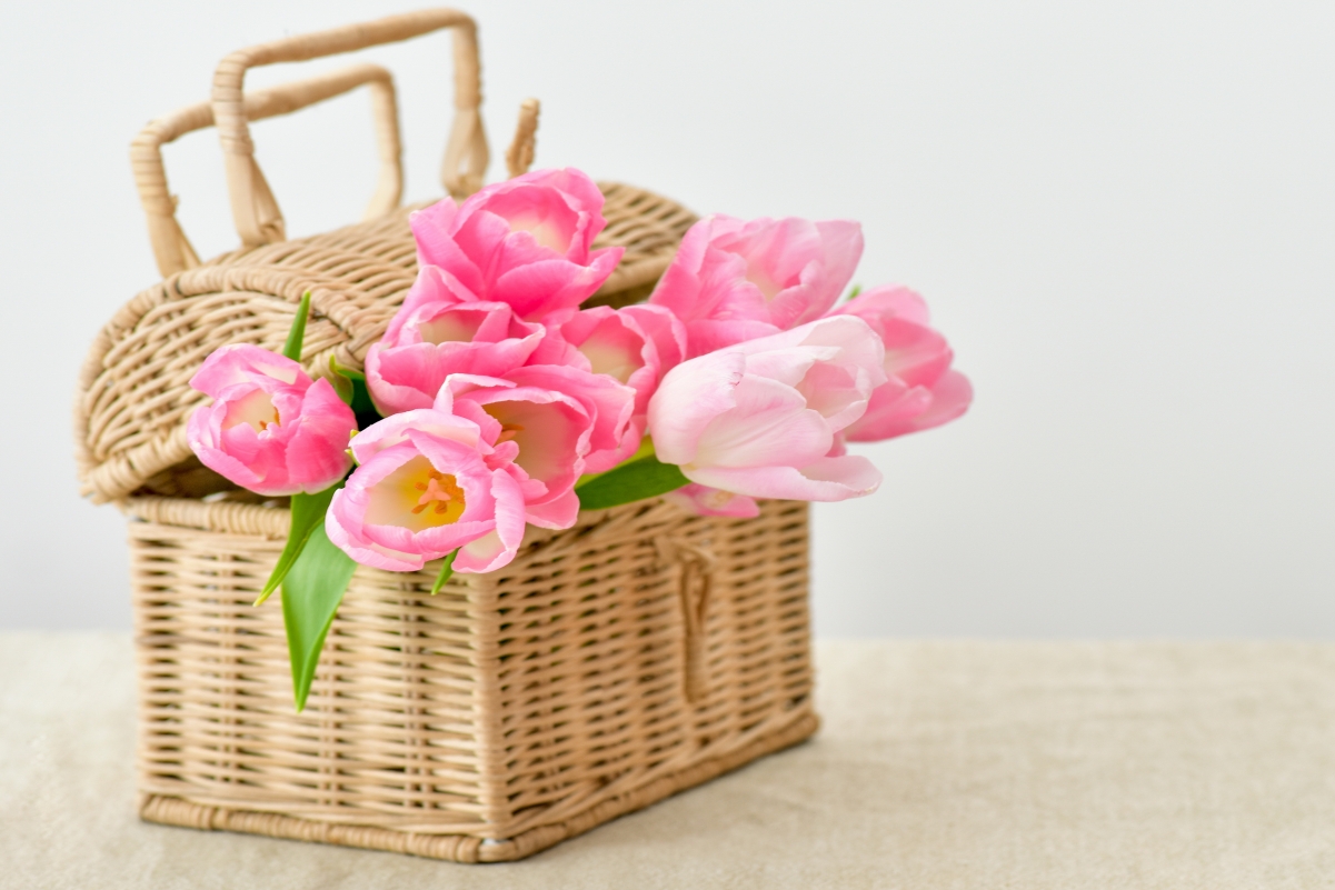 Pink Tulip Basket 4K